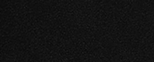 ROGUE DISNEY X COACH 布魯托圖案 25 手袋