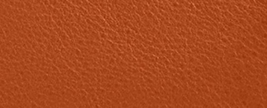 EMPIRE CARRYALL 21 柔軟手袋