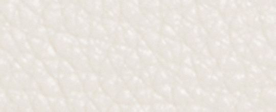 MINI ROWAN CROSSBODY WITH DANCING KITTEN