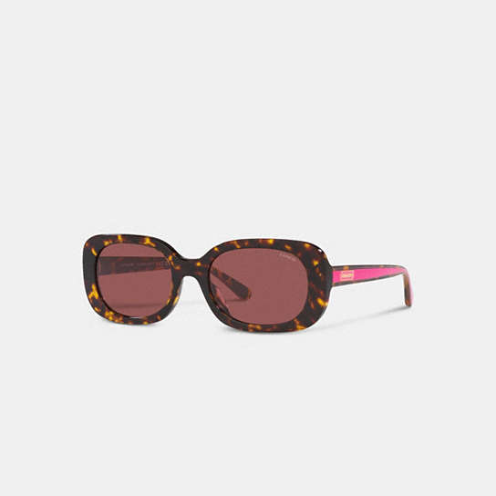 CD471 - Badge Rounded Square Sunglasses Black