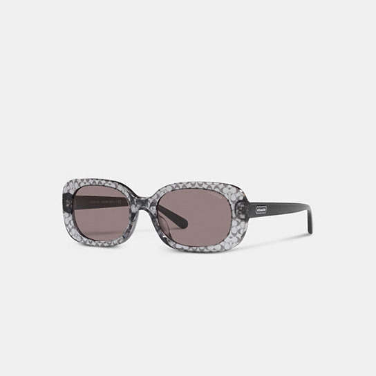 CD471 - Badge Rounded Square Sunglasses Black