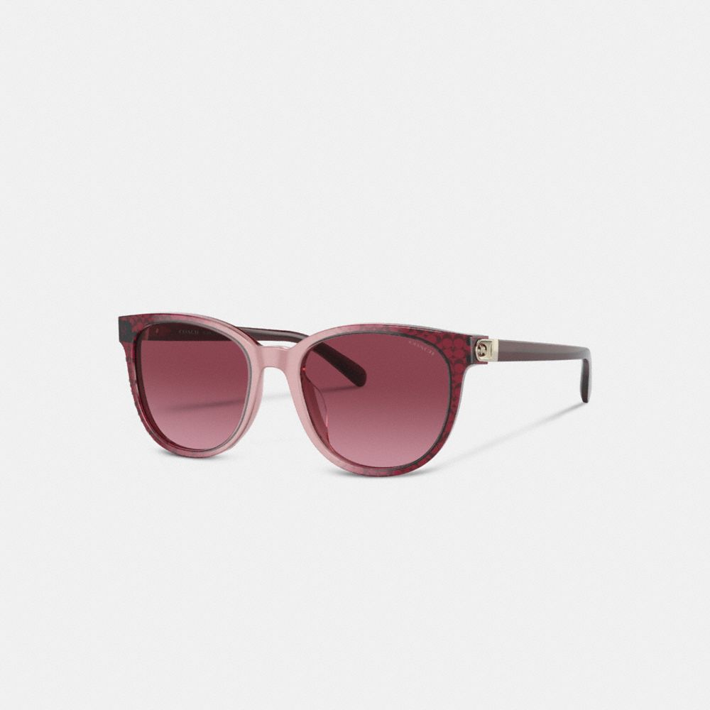 CD478 - Horse And Carriage Round Sunglasses Red Signature Gradient