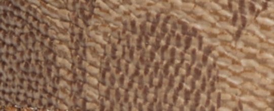 馬車主題圖案扣環腰帶，20毫米，可雙面使用