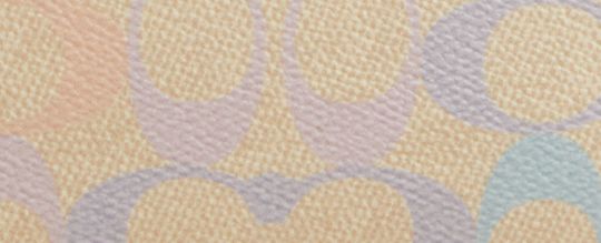 NOLITA 19 IN RAINBOW SIGNATURE CANVAS