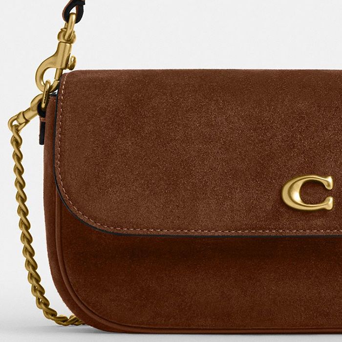 BROOK FLAP CHAIN BAG