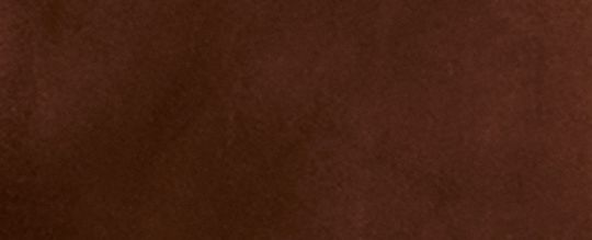 WESTERN 麂皮 休閒外套