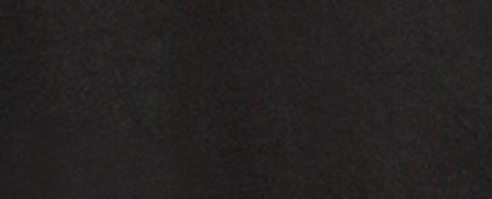 棉質恐龍拼貼圖案 T 恤