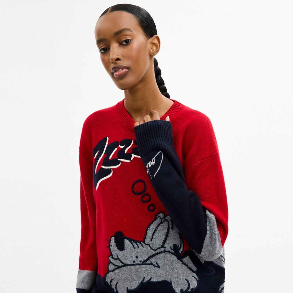 DISNEY X COACH 布魯托圖案圓領毛衣