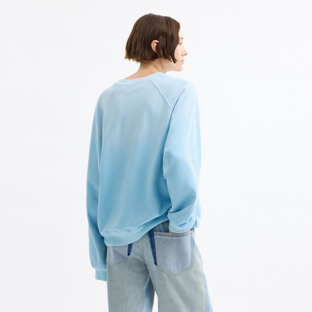 DISNEY X COACH 布魯托圖案圓領長袖上衣