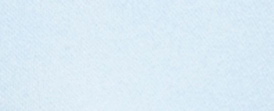 DISNEY X COACH 布魯托圖案圓領長袖上衣