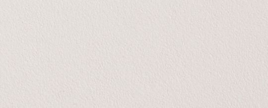 DISNEY X COACH 布魯托圖案筆記本