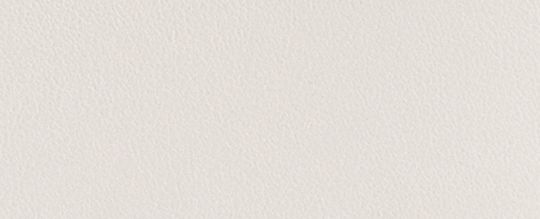 ESSENTIAL DISNEY X COACH 布魯托圖案 風琴褶皮夾