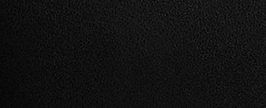 ESSENTIAL DISNEY X COACH 布魯托圖案 小號手腕包