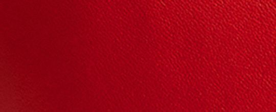 DISNEY X COACH 布魯托圖案 KISSLOCK FRAME 手袋