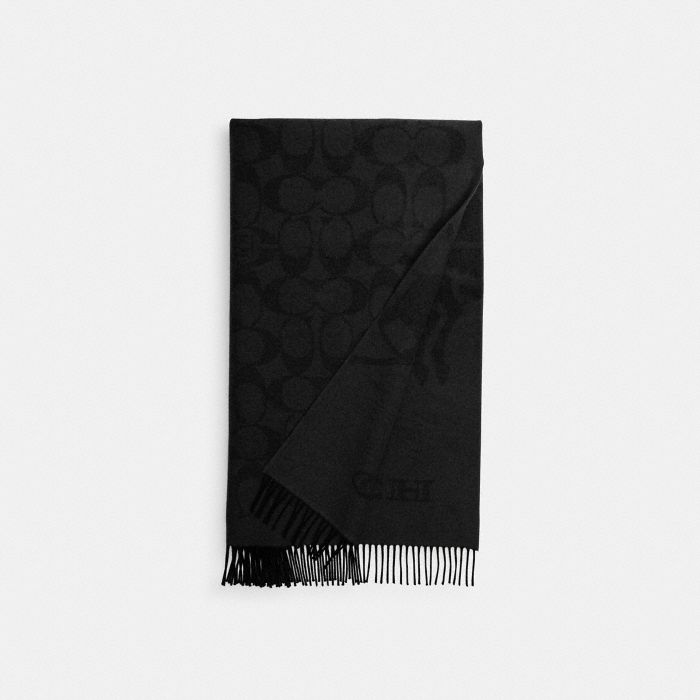 COACH CLOT 雙面馬車圖案大尺寸圍巾