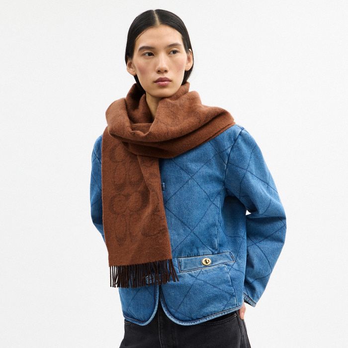 COACH CLOT REVERSIBLE HORSE AND CARRIAGE OVERSIZED MUFFLER