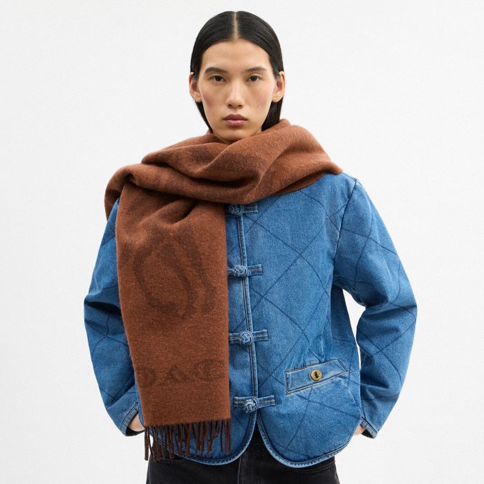 COACH CLOT REVERSIBLE HORSE AND CARRIAGE OVERSIZED MUFFLER