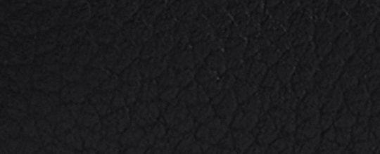 DISNEY X COACH 布魯托圖案環繞式拉鍊零錢皮夾