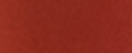 COACH CLOT 麻將牌手袋掛飾