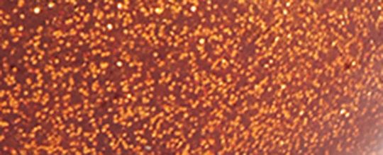 COACH CLOT 柑橘手袋掛飾