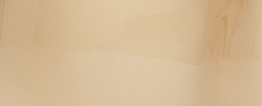 COACH CLOT 餃子手袋掛飾