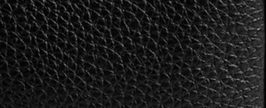 COMPASS COACH CLOT 35 手袋