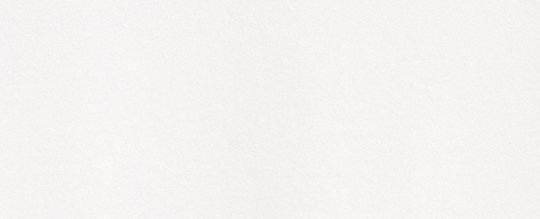 COACH CLOT 馬車圖案 90 年代版型 T 恤