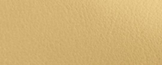 CHELSEA 36 單肩手袋