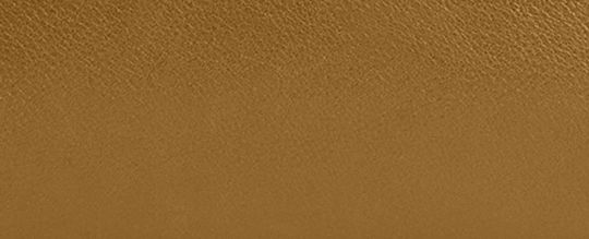 CHELSEA 36 單肩手袋