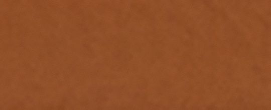 WEST BACKPACK WITH COACH MOTIF-QB/NATURAL