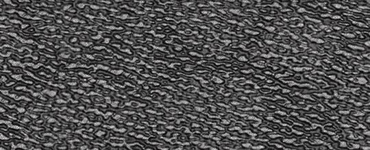 經典 SIGNATURE 帆布雙摺皮夾與鈔票夾禮盒組