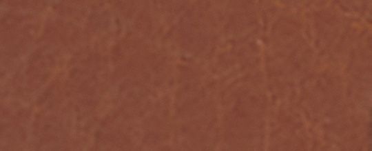 馬具扣環腰帶，38毫米