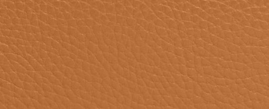 MINI COURT BACKPACK WITH COACH MOTIF