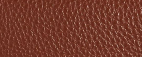 MORGAN SHOULDER BAG IN COLORBLOCK SIGNATURE CANVAS