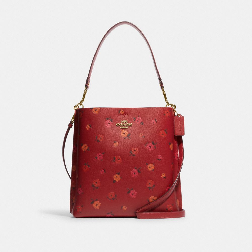 COACH CE578  IM/RED APPLE MULTI