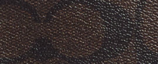 MINI CALLY CROSSBODY IN SIGNATURE CANVAS WITH SKI PATCHES