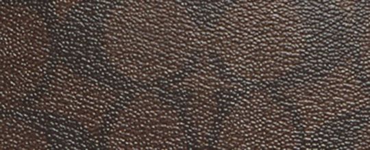 KATY SATCHEL IN SIGNATURE CANVAS WITH SKI PATCHES