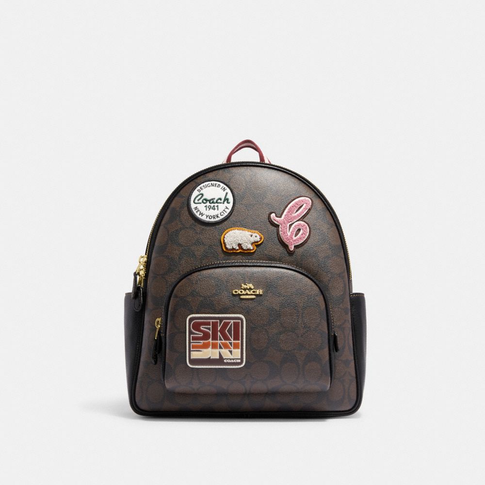 a frame ski backpack