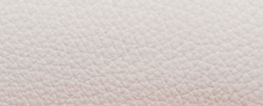 COURT BACKPACK WITH SIGNATURE CANVAS DETAIL AND COACH STAMP