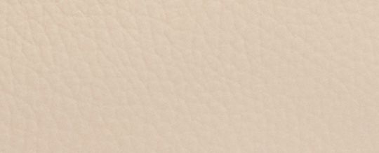 COACH X PEANUTS TRACK PACK 14 WITH SNOOPY MOTIF