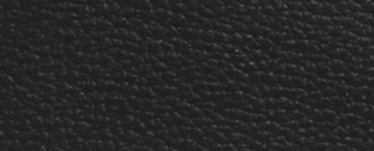 COACH X PEANUTS WEST BACKPACK WITH SNOOPY MOTIF