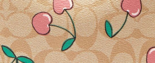 MOLLIE BUCKET BAG IN SIGNATURE CANVAS WITH HEART CHERRY PRINT