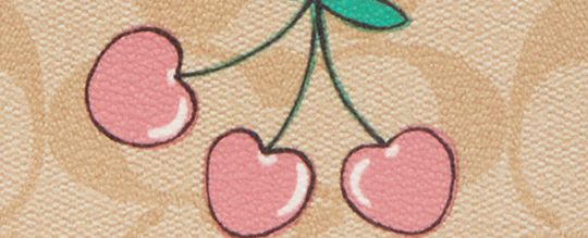 HEART CROSSBODY IN SIGNATURE CANVAS WITH HEART CHERRY PRINT