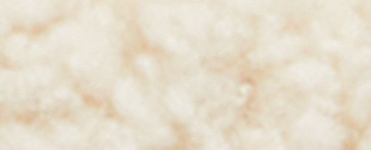 MINI JAMIE CAMERA BAG WITH COACH MOTIF