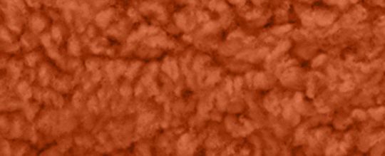 MINI JAMIE CAMERA BAG WITH COACH MOTIF