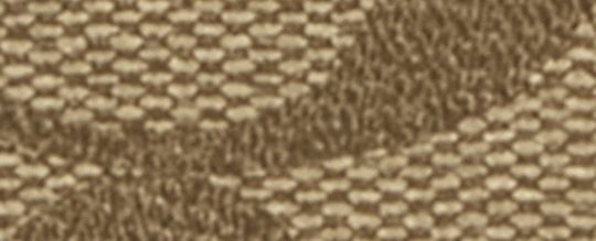 COACH X PEANUTS LONG ZIP AROUND WALLET IN SIGNATURE CANVAS WITH SNOOPY WOODSTOCK PRINT