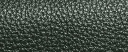 COACH X PEANUTS HERITAGE CONVERTIBLE CROSSBODY WITH SNOOPY MOTIF-QB/Amazon Green Multi