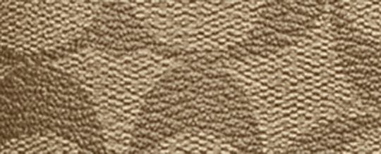 COACH X PEANUTS CARRY ALL POUCH IN SIGNATURE CANVAS WITH SNOOPY WOODSTOCK PRINT