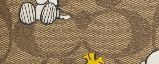 COACH X PEANUTS 3-IN-1 WALLET IN SIGNATURE CANVAS WITH SNOOPY WOODSTOCK PRINT