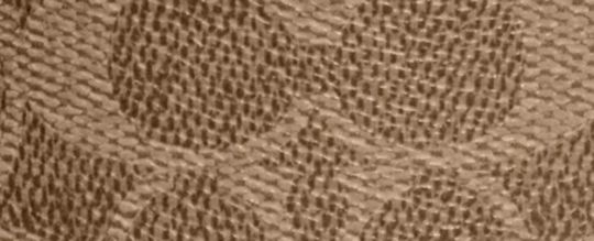 TRAIL 12 經典 SIGNATURE 帆布斜背手袋